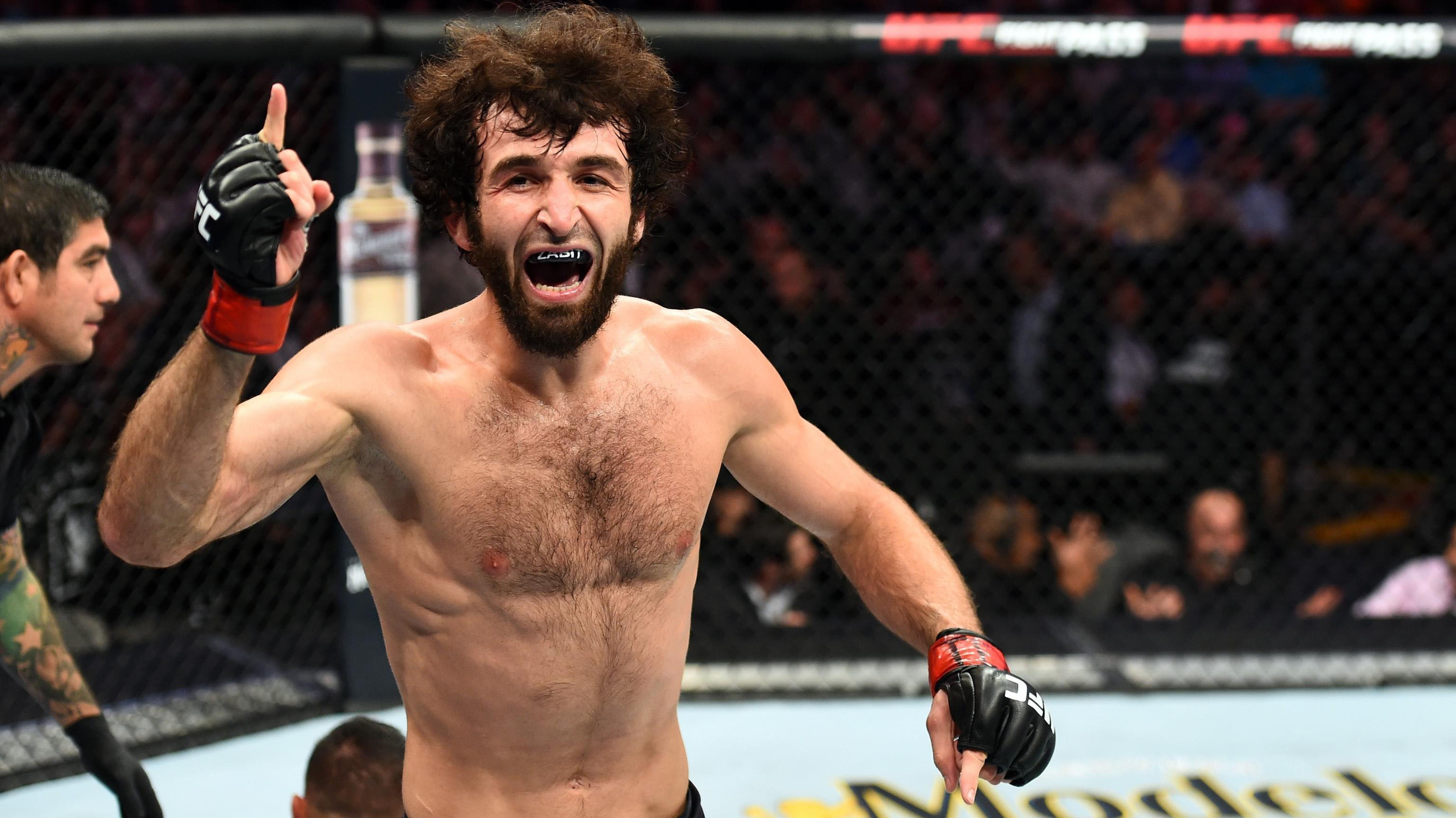 Zabit Akhmedovich Magomedsharipov (Russian: ????? ????????? ??????????????; born 1 March 1991) is a Russian professional mixed martial artist. He curr...